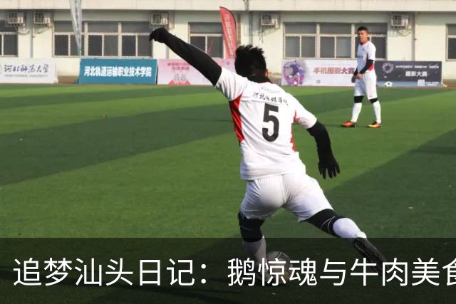 追梦汕头日记：鹅惊魂与牛肉美食趣事