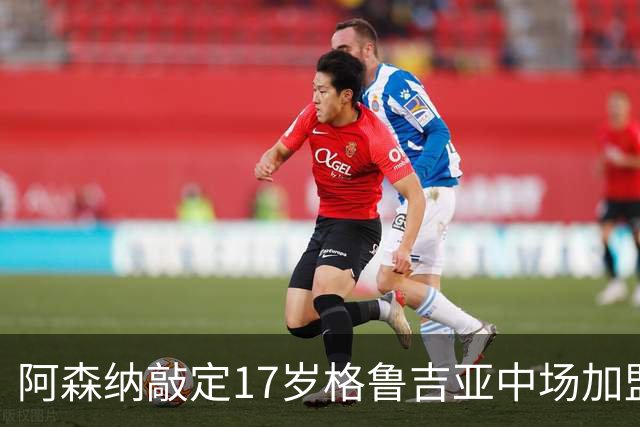 阿森纳敲定17岁格鲁吉亚中场加盟计划