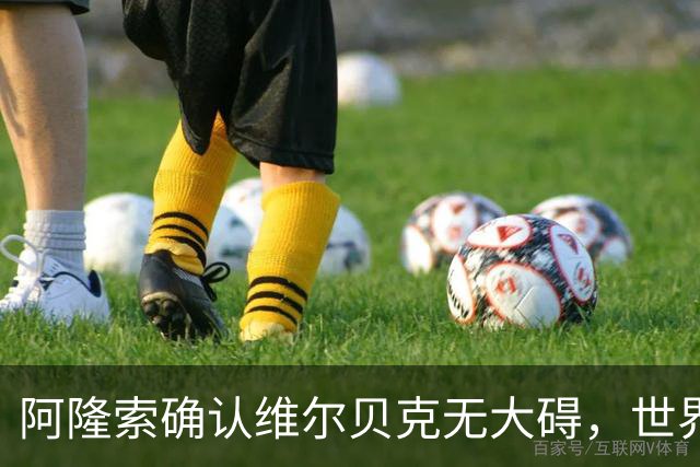 阿隆索确认维尔贝克无大碍，世界杯归队球员可出战揭幕战