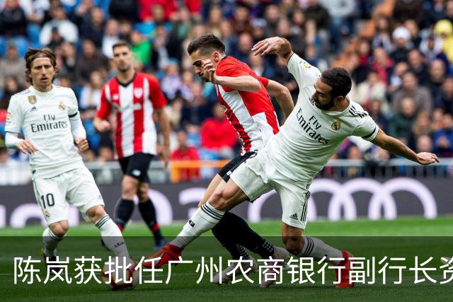 陈岚获批任广州农商银行副行长资格