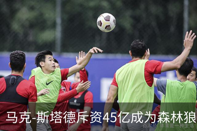 <马克-斯塔德斥资45亿成为森林狼控股人>