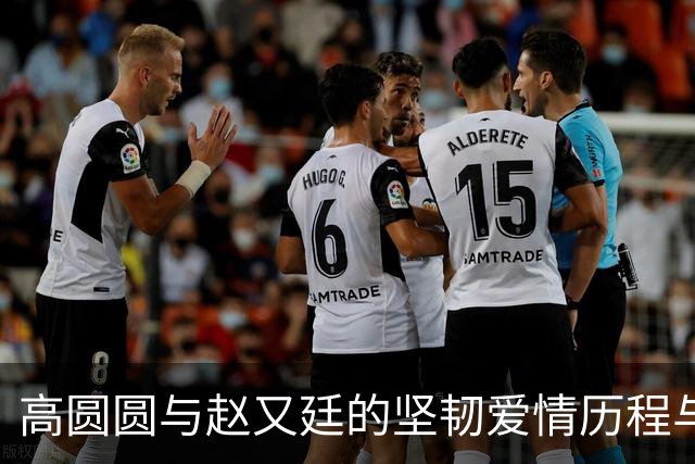 高圆圆与赵又廷的坚韧爱情历程与现状